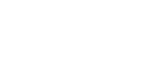 git annex logo